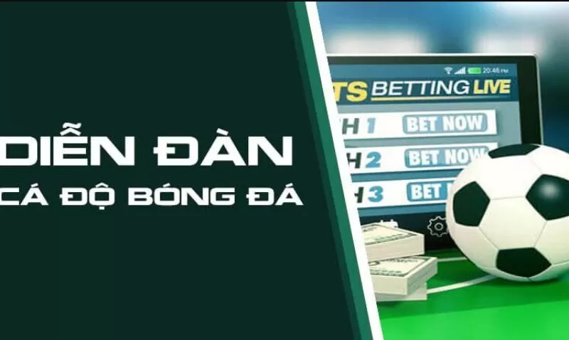 Cách bào cỏ miễn phí là thu thập thông tin về các chương trình khuyến mãi Cách bào cỏ miễn phí là thu thập thông tin về các chương trình khuyến mãi