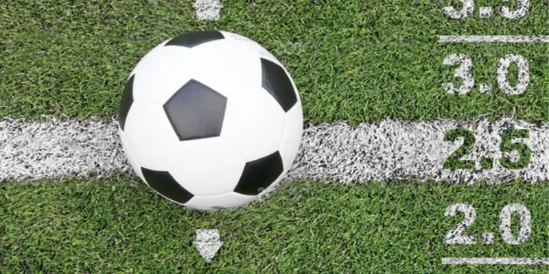 Cược tài xỉu hiện tại cũng phổ biến vì tỷ lệ trả thưởng cao Cược tài xỉu hiện tại cũng phổ biến vì tỷ lệ trả thưởng cao