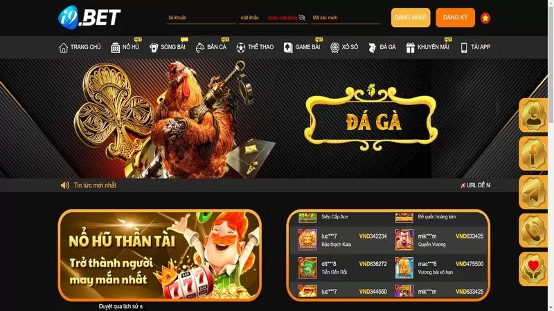 Chuyên mục đá gà mang đến nhiều giải đấu cũng như trận đấu kịch tính Chuyên mục đá gà mang đến nhiều giải đấu cũng như trận đấu kịch tính