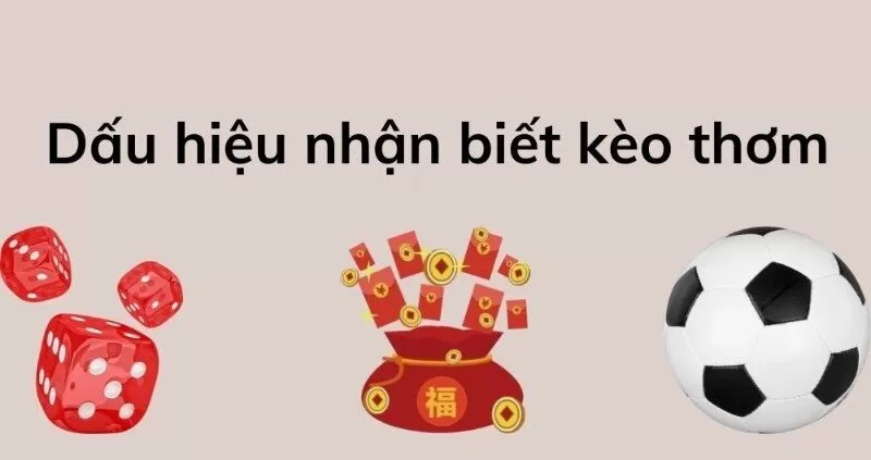 Lựa chọn kèo ngon ăn giúp nâng cao tỷ lệ chiến thắng Lựa chọn kèo ngon ăn giúp nâng cao tỷ lệ chiến thắng